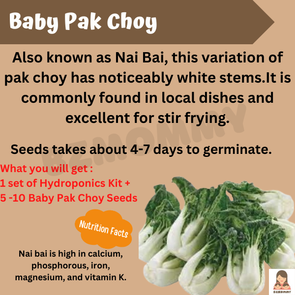 mini hydroponics kit with baby pak choy seeds