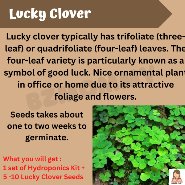 mini hydroponics kit with lucky clover seeds