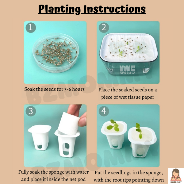 vivesproutz mini hydroponics kit planting instructions 1